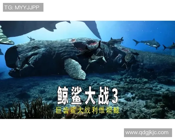 坎布尔与福图纳激战正酣谁能在这场对决中笑到最后